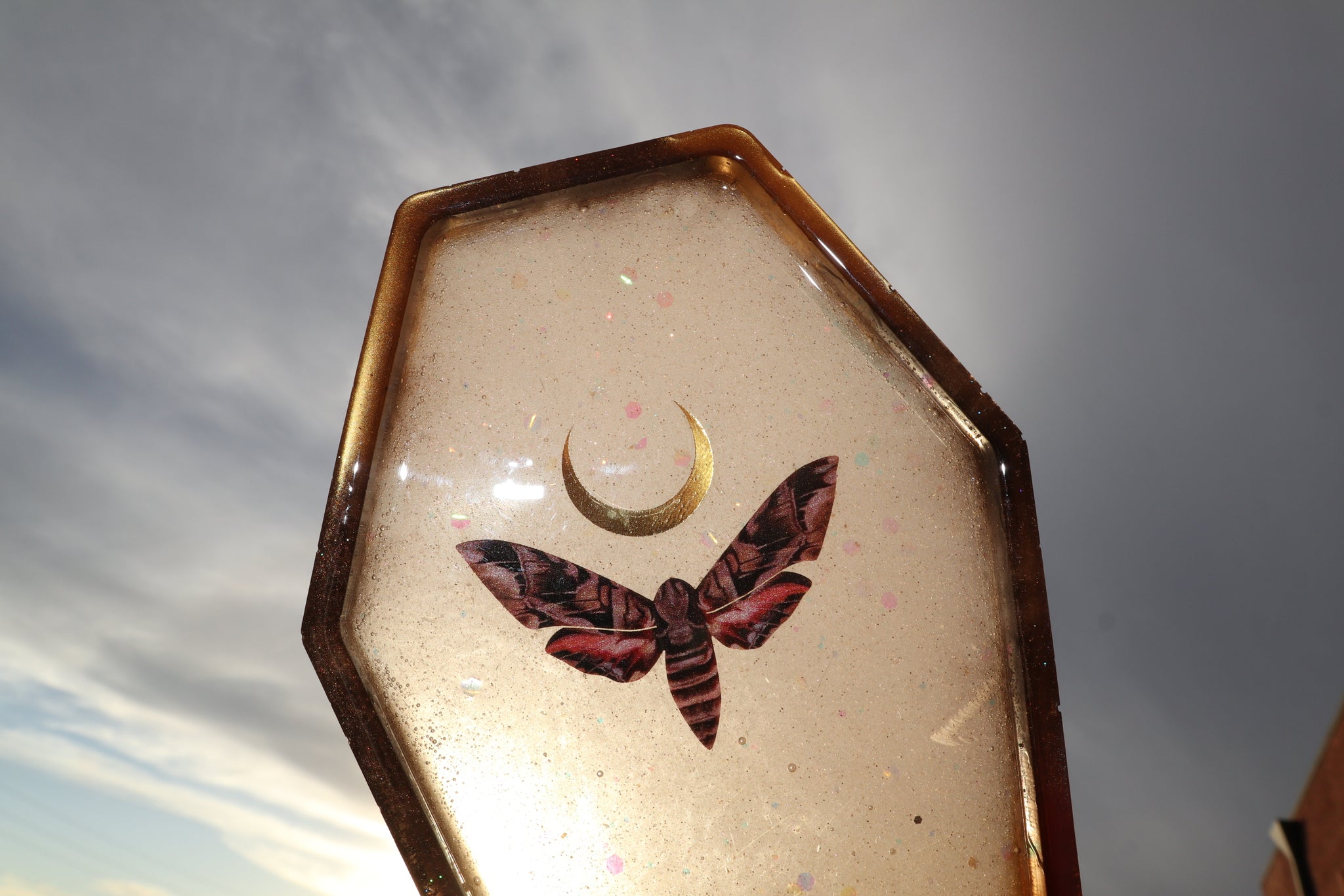 FUSCHIA MOTH TRAY